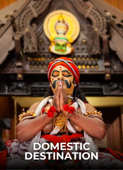 Domestic Package