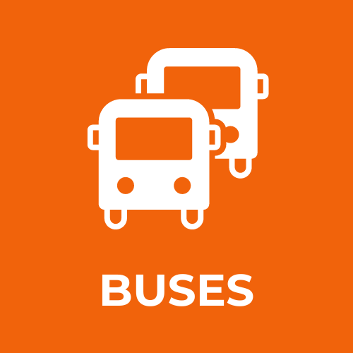BUSES