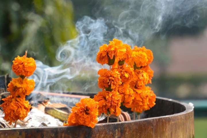 ganga Darshan