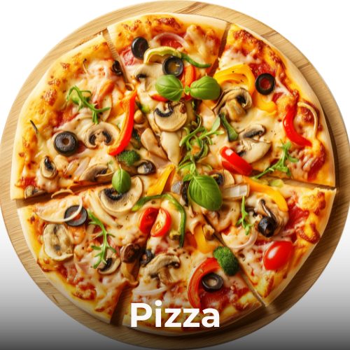 Tour and travels in Aligarh